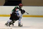 DSC_0678g.jpg