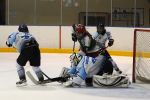 DSC_0722g.jpg
