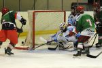 DSC_0819g.jpg