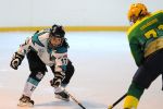 DSC_1026g.jpg