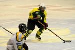 Lit-Vse_7-4_19_3_2011_(54).jpg