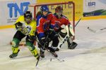 VSE-BER_5_12_10_(40).jpg
