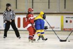 cr-swe_(16).jpg
