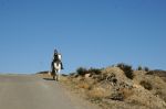 foto_(151)~0.jpg