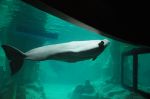 foto_(21)~4.jpg