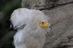 foto_(47)~4.jpg