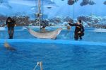 foto_(49)~4.jpg