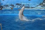 foto_(52)~4.jpg