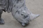 foto_(55)~4.jpg