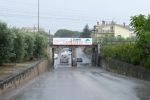 foto_(7)~2.jpg