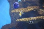 foto_(7)~6.jpg