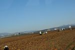 foto_(78)~1.jpg