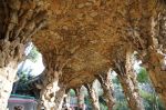 foto_(90)~1.jpg