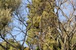 foto_(93)~1.jpg