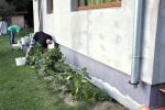 foto_011g~1.jpg