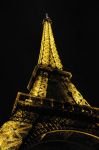 francie_25_10-1_11_2011_(66).jpg