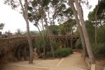 guell5.jpg