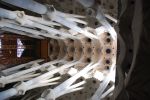 sagrada8.jpg