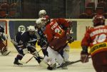 slo-sla_3-4_(30).jpg