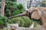 zoo1.jpg