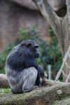 zoo20.jpg