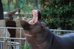 zoo22.jpg