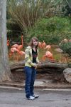 zoo3.jpg